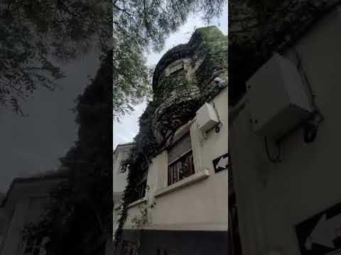 Video de YouTube - Casa de ocho dormitorios en venta en Pocitos