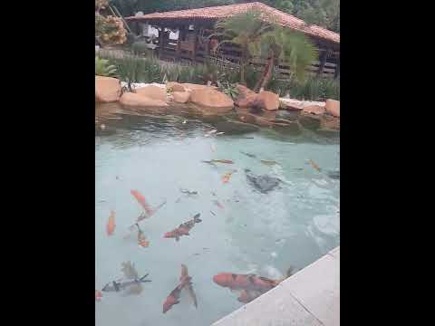 Lugar lindo, Casarão em Cezarina -Go