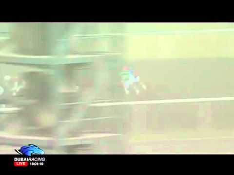 17.02.2012 Meydan (Dubai UAE) 1.Race S O G Engineering - Maiden 1.400 m