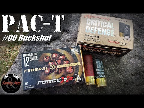 Federal Flite Control 9 Pellet 00 Buck Through A Double Barrel? Let's Test It W/ A 1974 Stevens 311H