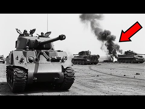 They Laughed at the Sherman’s “Inferior Armor” — Until It Surrounded Their Tiger