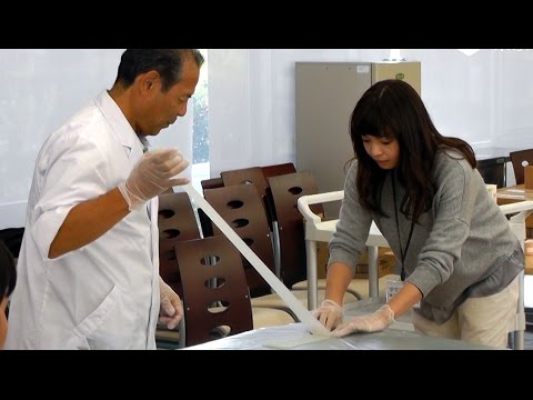 3M スコッチキャストを使用してギプスのような包帯固定をする