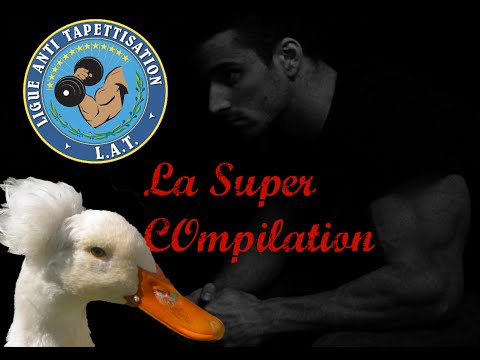 Djoko devenu fou ? Best of Vidéos