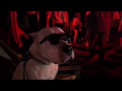 Dub Splash Soundsystem play Vibronics ft. Boney L - Rise Up