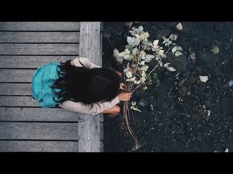 SVPERIOR DWELLS  &  Jess Audrey - Hurt Feelings