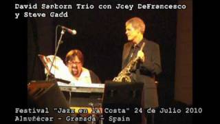 David sanborn Trio - Let the Good Times Roll (3)