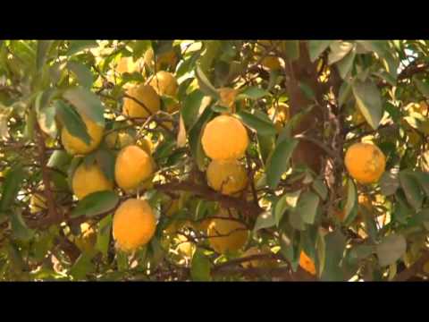 History  of the Irish Jesuits in  Chikuni, Zambia