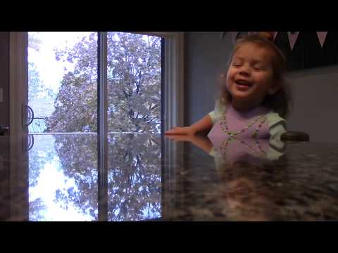 download lagu mp3 mp4 Lactation Muffins Pumpkin, download lagu Lactation Muffins Pumpkin gratis, unduh video klip Lactation Muffins Pumpkin