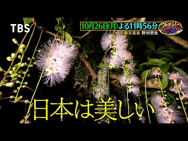 クレイジージャーニー🈑