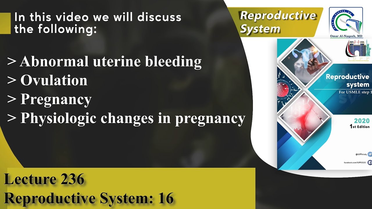 Abnormal uterine bleeding | Ovulation | Pregnancy | Physiologic changes in pregnancy
