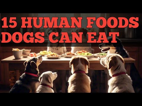 15 HUMAN FOODS DOGS CAN EAT #pets #facts #dog