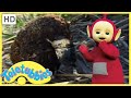 Teletubbies Everywhere English Episodes Dung Beetles South Africa Full Episode S02E29