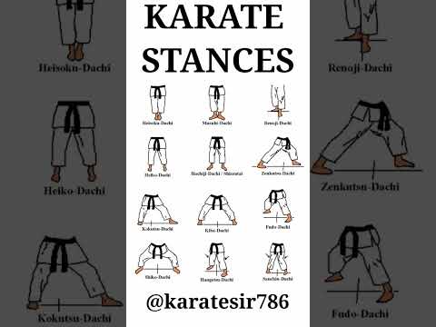 MOST IMPORTANT SHOTOKAN KARATE STANCES | #karatesir #karate #shotokankarate