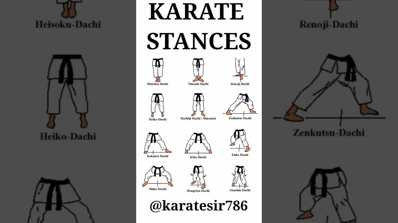 MOST IMPORTANT SHOTOKAN KARATE STANCES | #karatesir #karate #shotokankarate