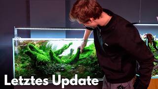 Das letzte Video von Philips bestem Aquarium!