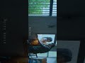 Unexpected Kiss Love Status Dear Comrade Status In Tamil Rain Kiss By Vijay Deverakonda Boys Caring