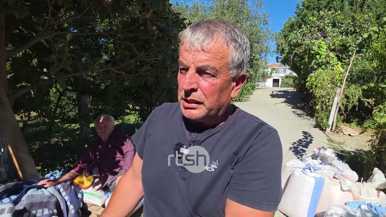 Drithërat po shiten nën kosto, fermerët kërkojnë politika që mbështesin prodhimin vendas