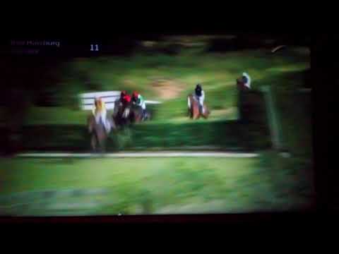 German grand national 2019