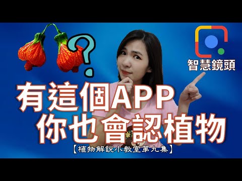 這是什麼花app