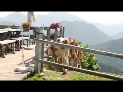 mit dem Mountainbike von Hausham auf die Gindelalm