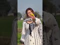 Je Mare Mere Utte Mere Pishe Mere Lyi Zindagi Ch Auna Song