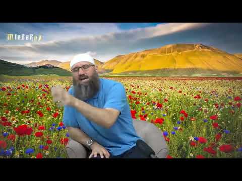 Usnio sam da postoji sihr, da li da odem na to mjesto da potražim sihr? - Elvedin Pezić