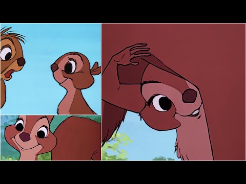 [The Sword in the Stone] The Complete Animation of the Female Squirrel