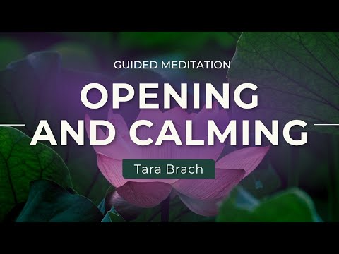 Guided Meditation: Opening and Calming, with Tara Brach