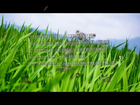 Pu'avasā Volume 1 - Tau Mo Iesu