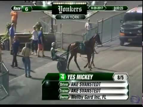 Yes Mickey & Åke Svanstedt wins the first Yonkers Trot elimination in 1.56,1 (1.12,2)