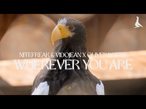 Wherever You Are - Nitefreak, Vidojean x Oliver Loenn