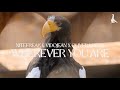 Wherever You Are Nitefreak Vidojean X Oliver Loenn