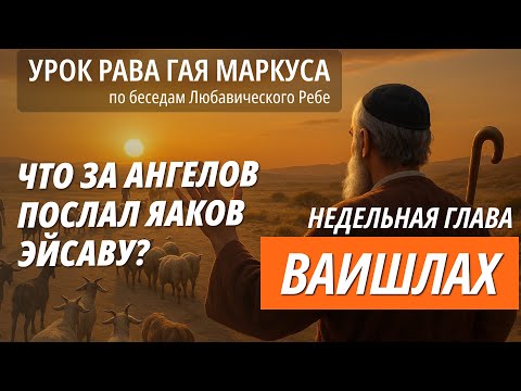 Ваишлах - беседа Ребе на недельную главу. Урок раввина Гая Маркуса