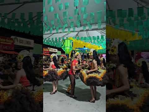 🌻 Apresentação da Quadrilha Junina GirassolDe Girau do Ponciano –AL 11 De junho 2026