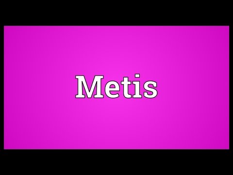 Metis Meaning