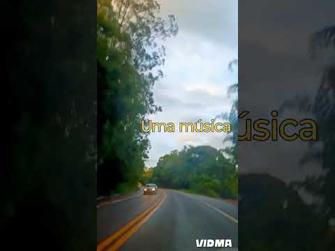 🚙Estrada Tuiuti SP 🚙8