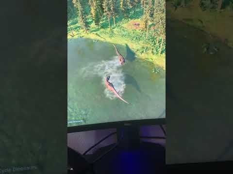 Day in the life of a biosyn sanctuary