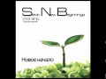 SNB - Славлю Тебя 
