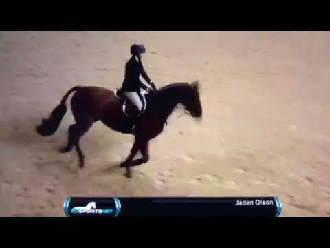 Quintano USEF Medal Finals Harrisburg