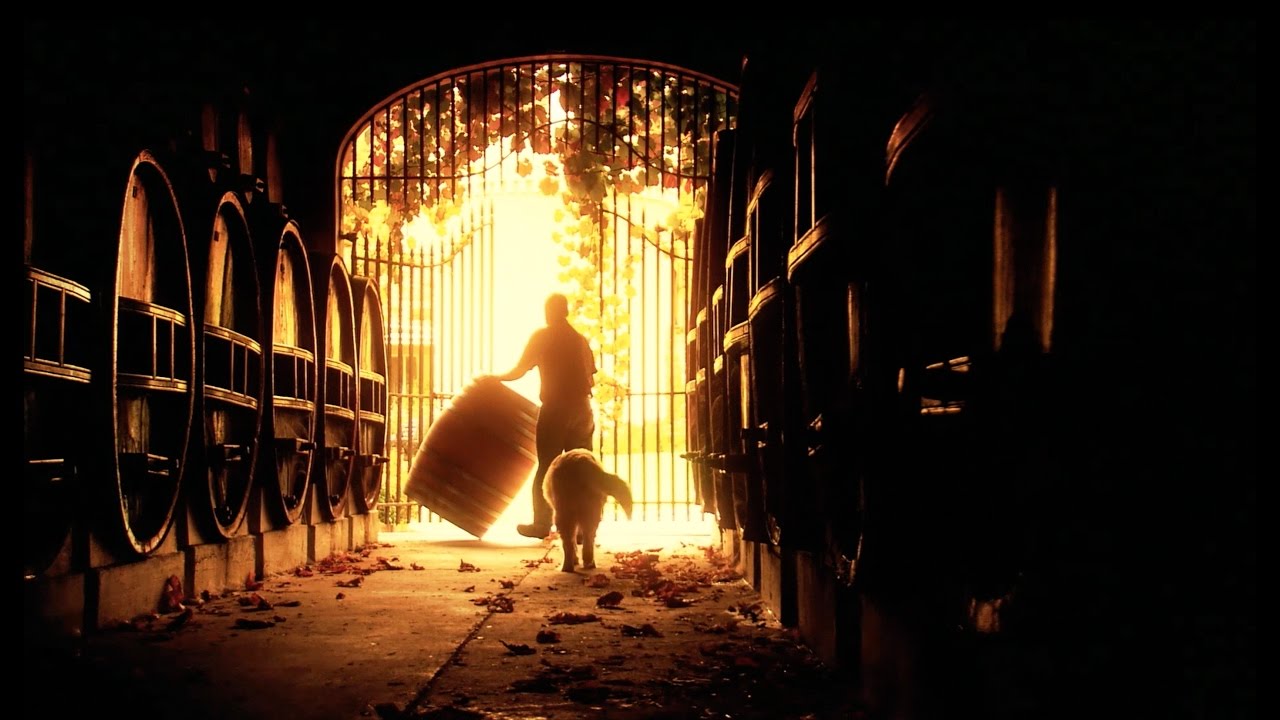 EuroCave ou l’héritage de l’inspiration viticole …