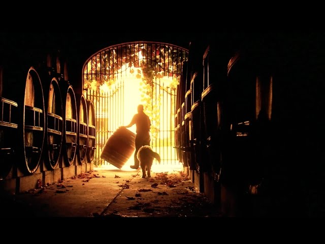 EuroCave ou l’héritage de l’inspiration viticole …