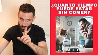 ¿Cuánto tiempo puede estar un gato sin comer?