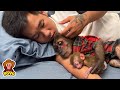 Monkey YoYo Jr helps dad take care of baby monkey Yumy