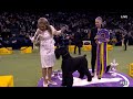 Monty The Giant Schnauzer Wins Best In Show At Westminster Kennel Club
