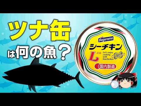 , title : '【ゆっくり解説】ツナ缶は何の魚？シーチキンとツナの違いとは'