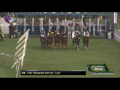 The 'Deanan Doyal' Cup | Hardwired | K.Kalychurun