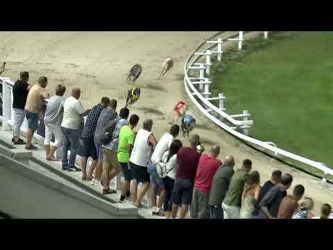 2022.08.26. 07. futam - Nyári Nagydíj