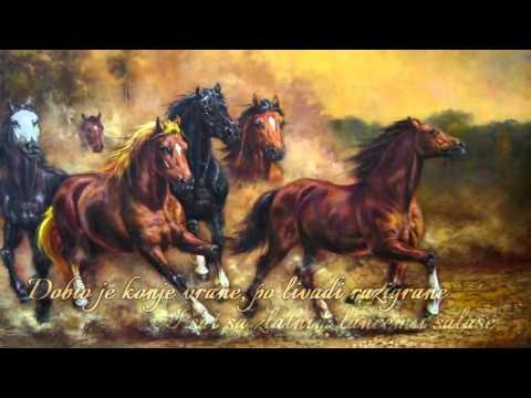 by: Velibor Janićijević  Tekst  naravno ja ahahahha...