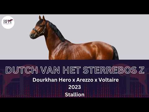 Dutch van het Sterrebos Z