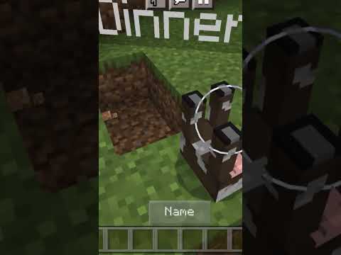 "New Minecraft Trick Revealed! Must See!" #shorts #gaming